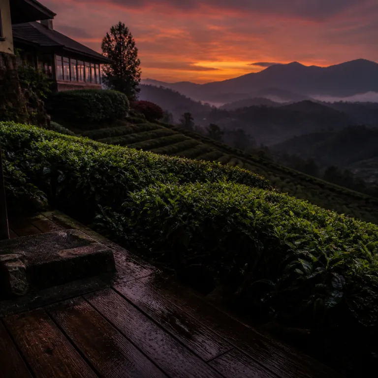 Nuwara Eliya's New Chapter: The Hill Station Hotels Making Tea Country Fashionable Again