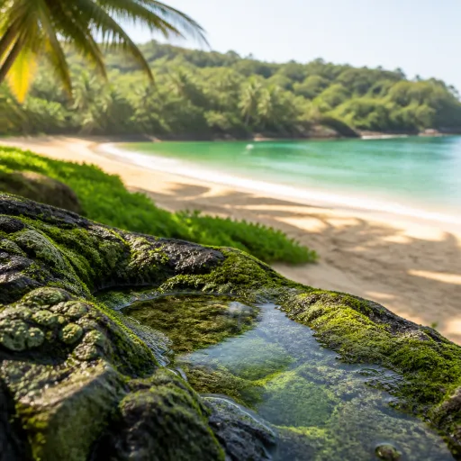 Hiriketiya: a refined guide to Sri Lanka’s most stylish little bay